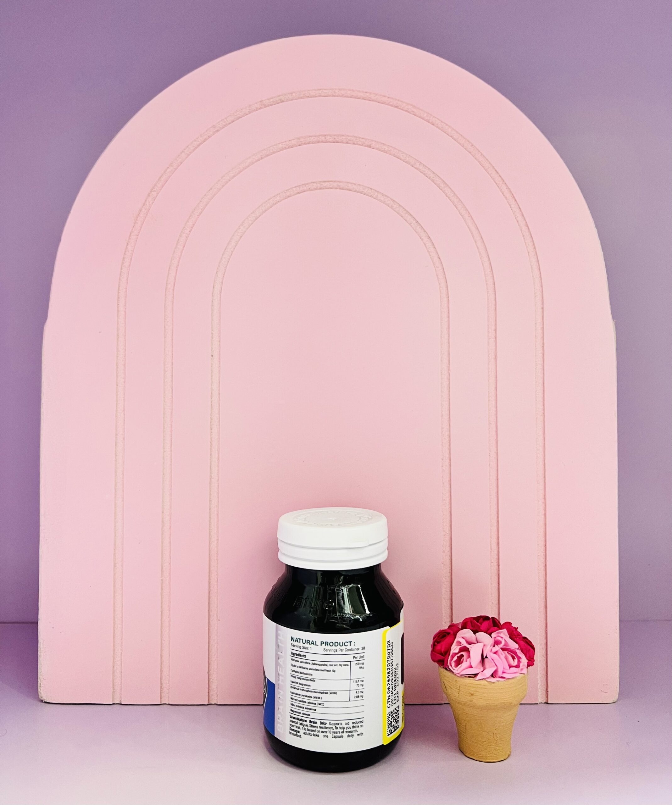 IMG_8966 برین بریکس