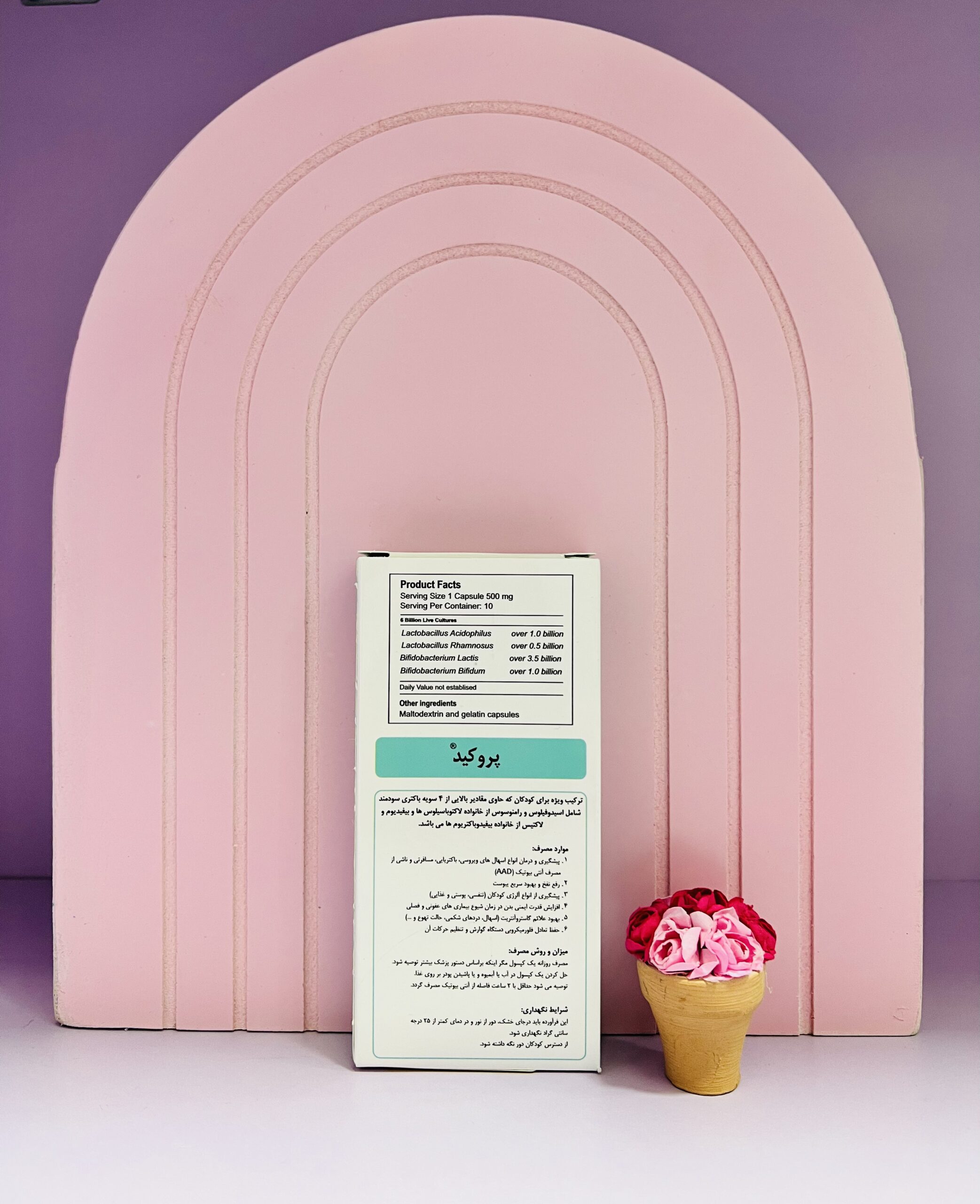 IMG_9079 پروکید