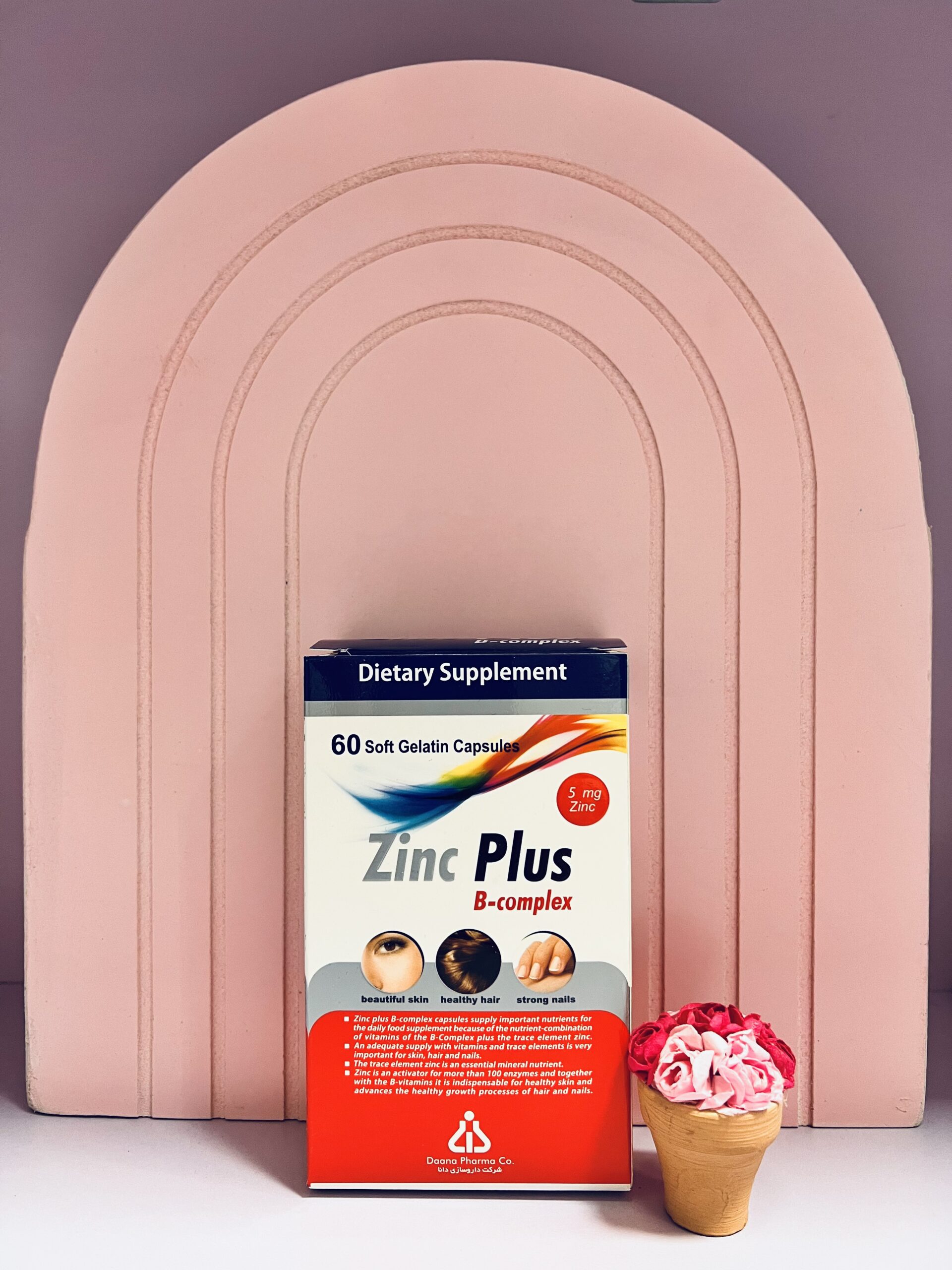 IMG_1208 زینک 5 دانا